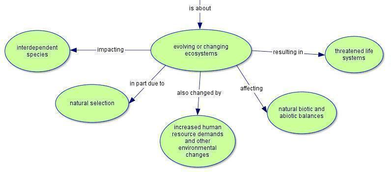 Trophic Levels - Graphic Organizer